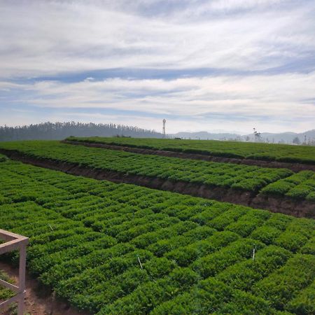 Brown Tree Resorts Ooty Luaran gambar