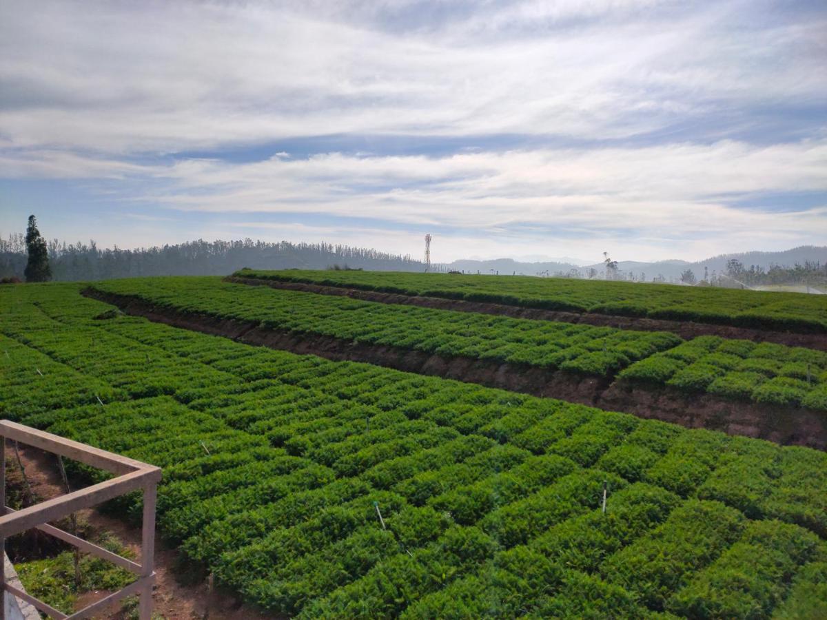 Brown Tree Resorts Ooty Luaran gambar